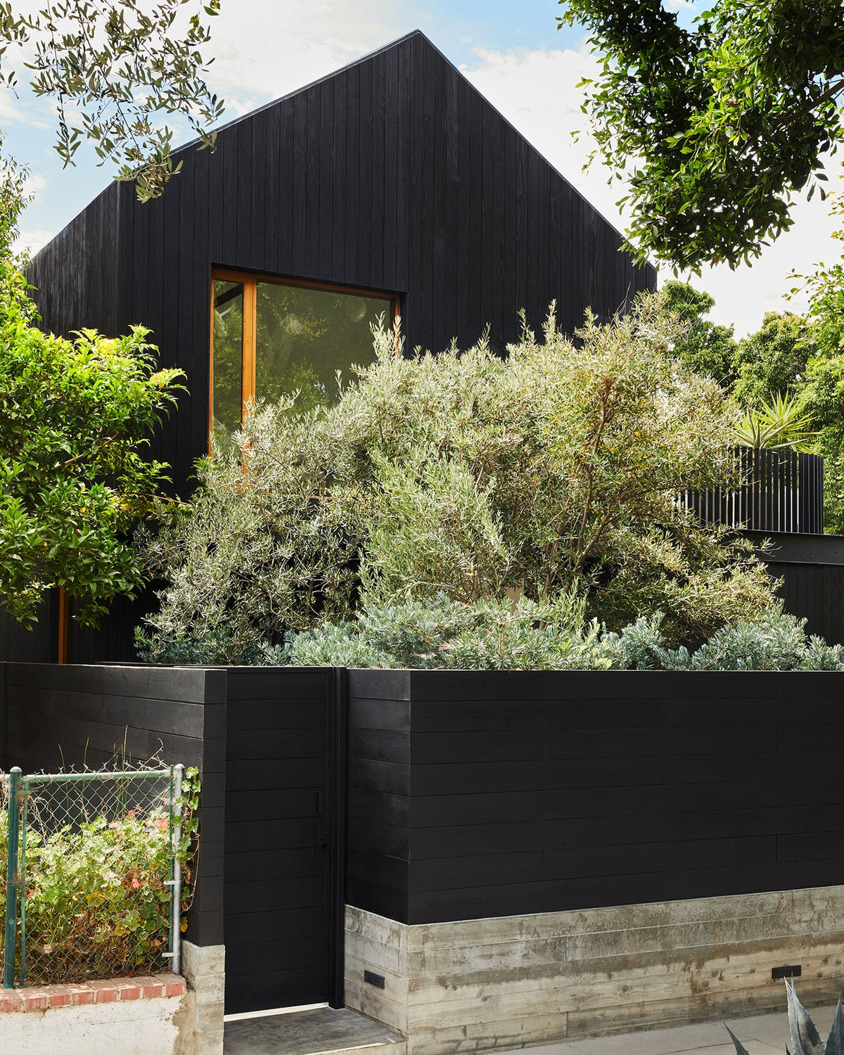 The Venice House with Jodie Fried