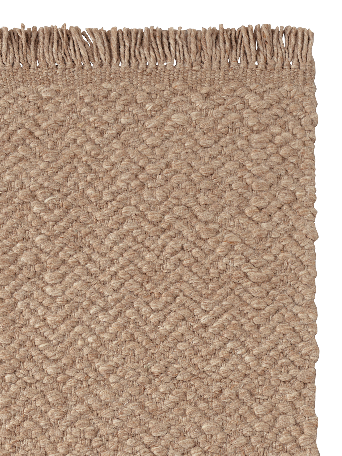 Armadillo Arroyo Rug in Sepia